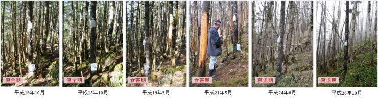 奥秩父雁坂峠付近の亜高山帯森林におけるニホンジカの食害にともなう森林の経年変化