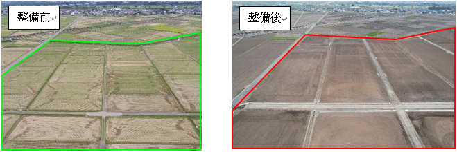 畦畔撤去 前後図