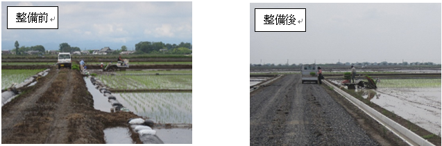 道路拡幅　前後