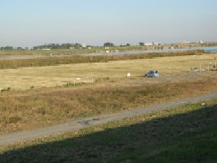 熊谷市利根川総合運動公園の写真