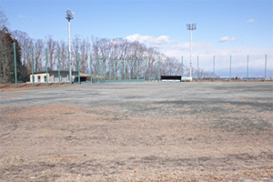 児玉総合公園運動場