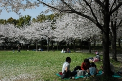 Dewa_Park_Koshigaya