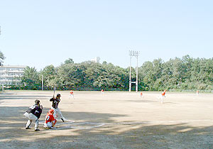 写真：新座市営殿山運動場の野球場