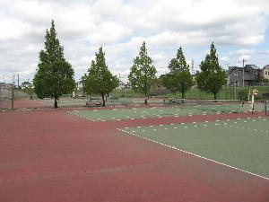 YoshikawaUndohPark_TennisCourt