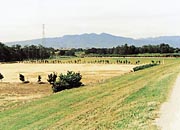 KamisatomachiMiyaTamokutekiSoccer