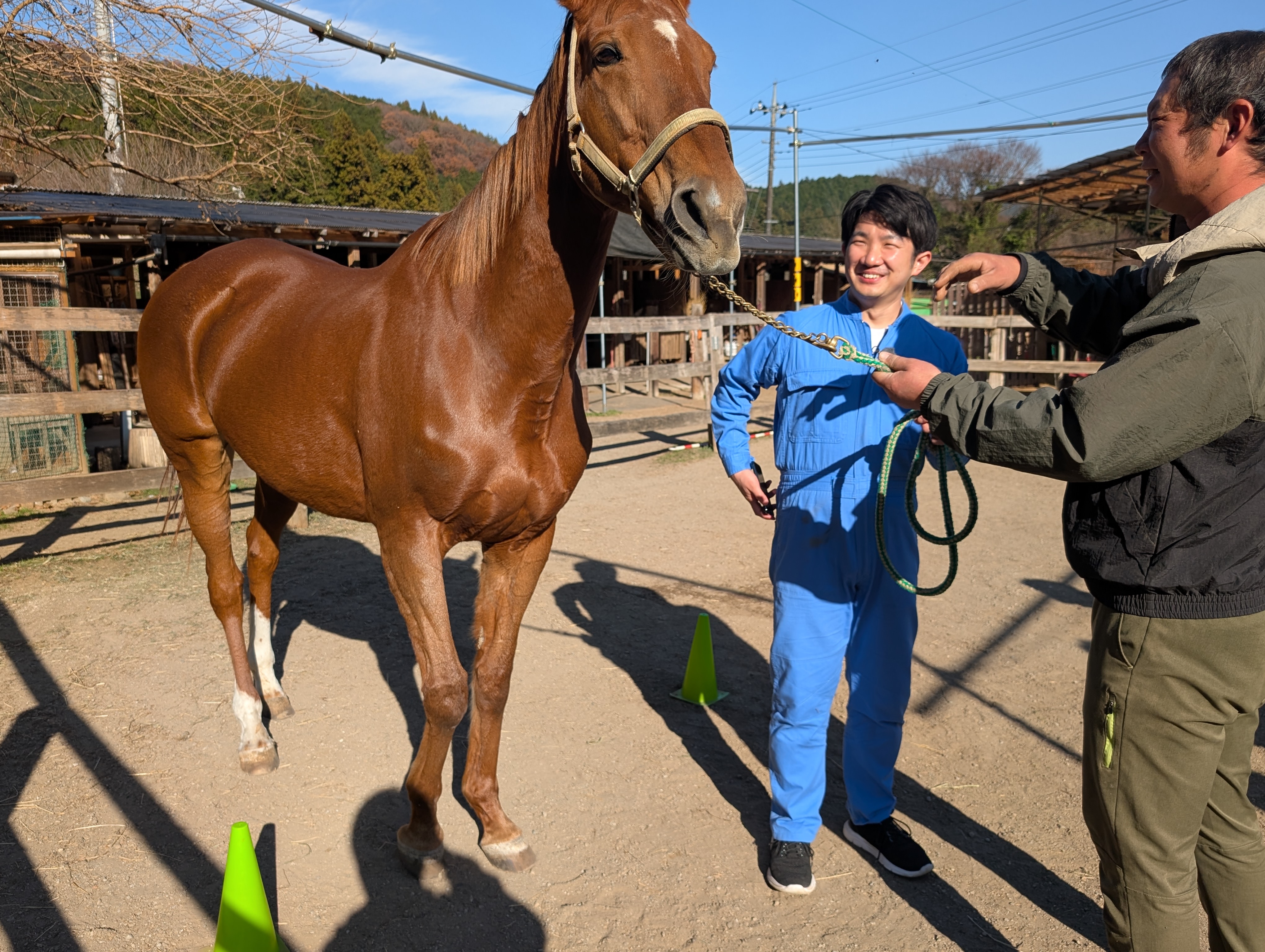 ホースケアガーデンで馬を見る小堺翔太と職員