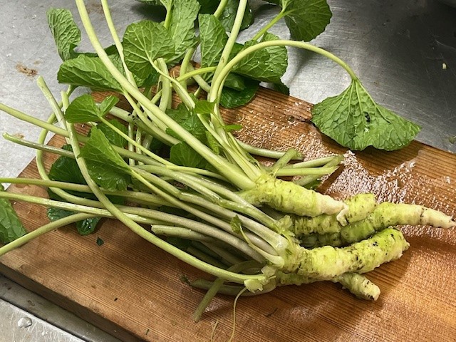 ときがわ町のわさび