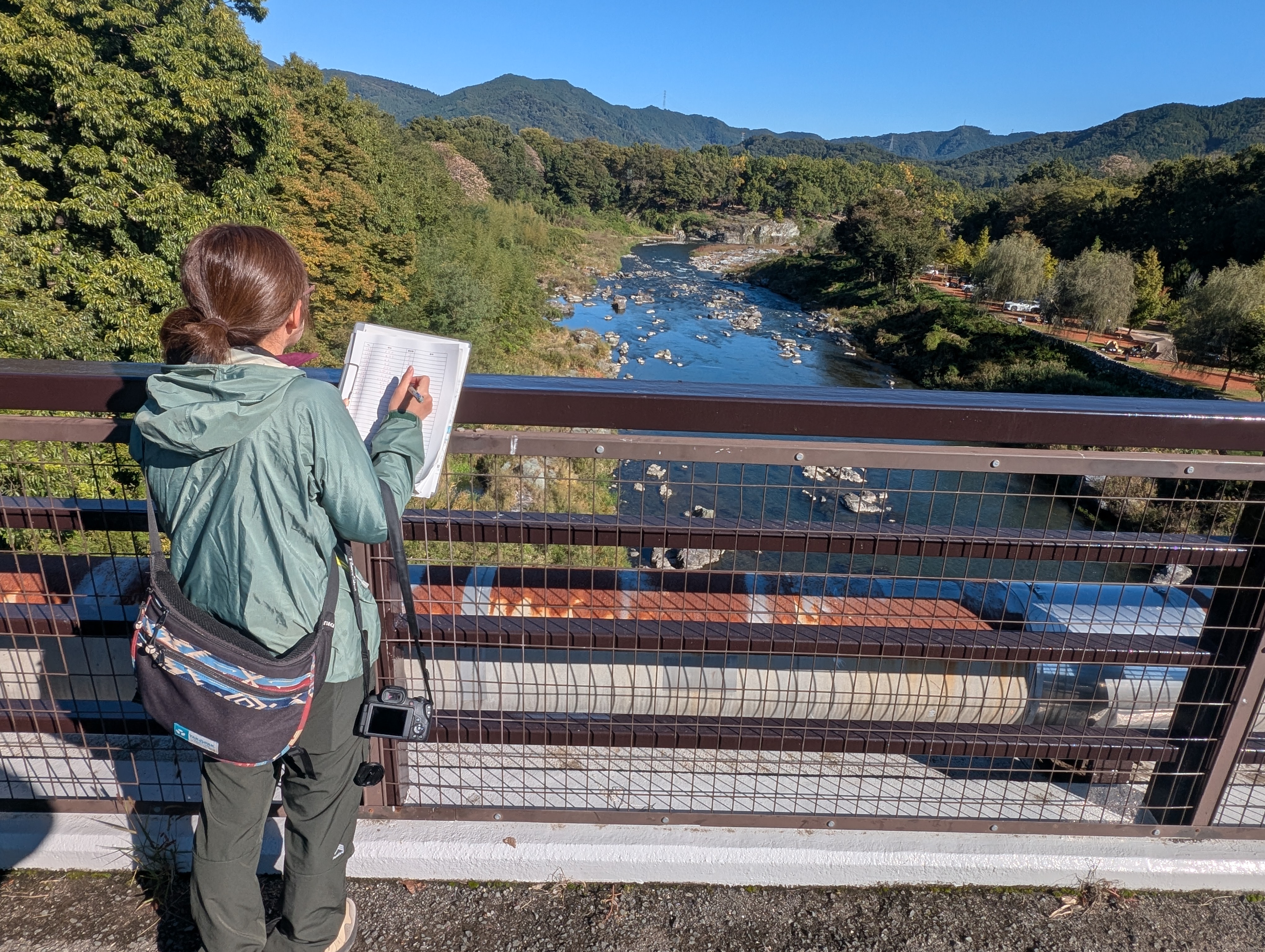 自然の博物館の学芸員が橋の上でバードウォッチングをしている