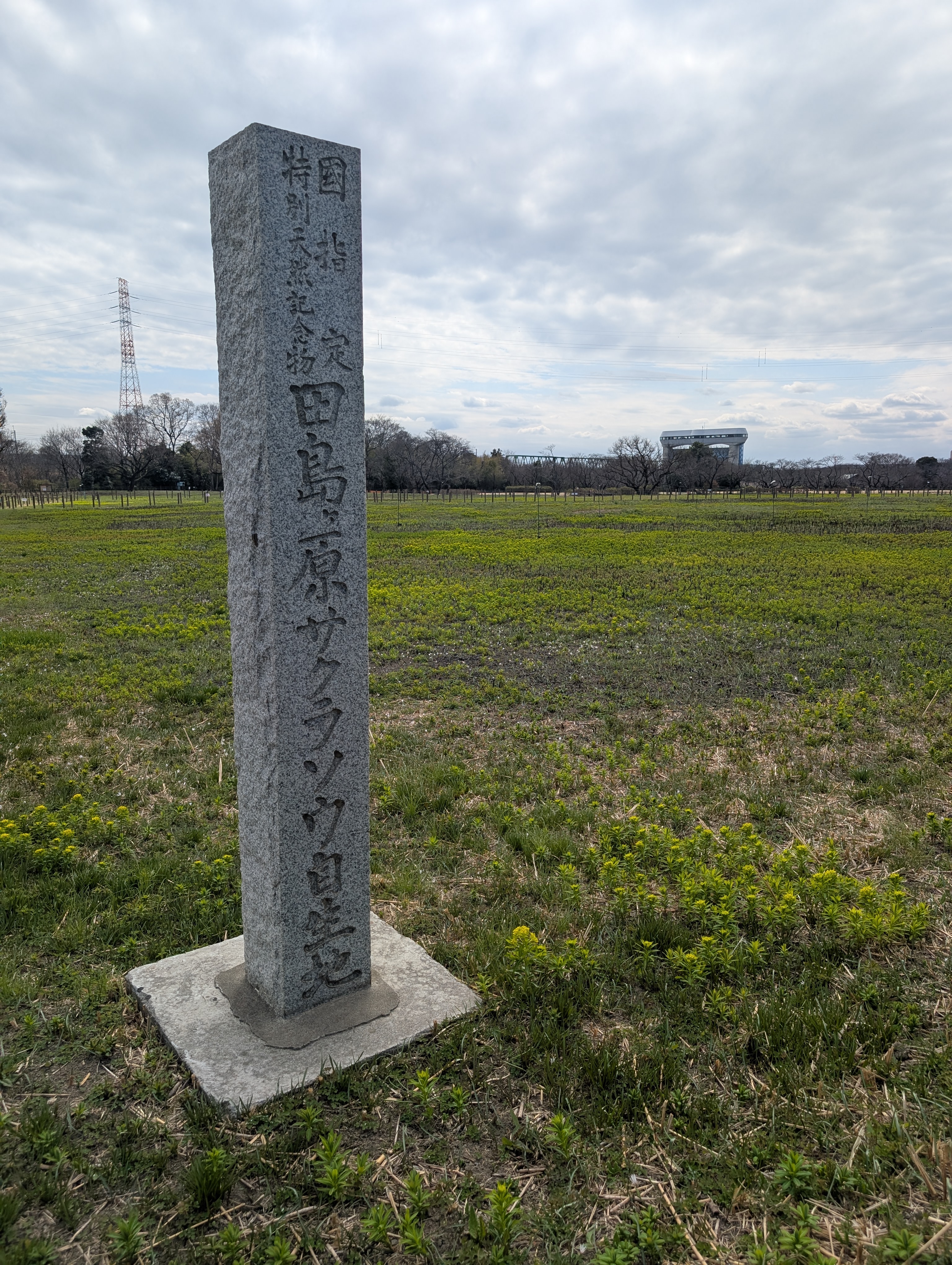 田島ケ原サクラソウ自生地