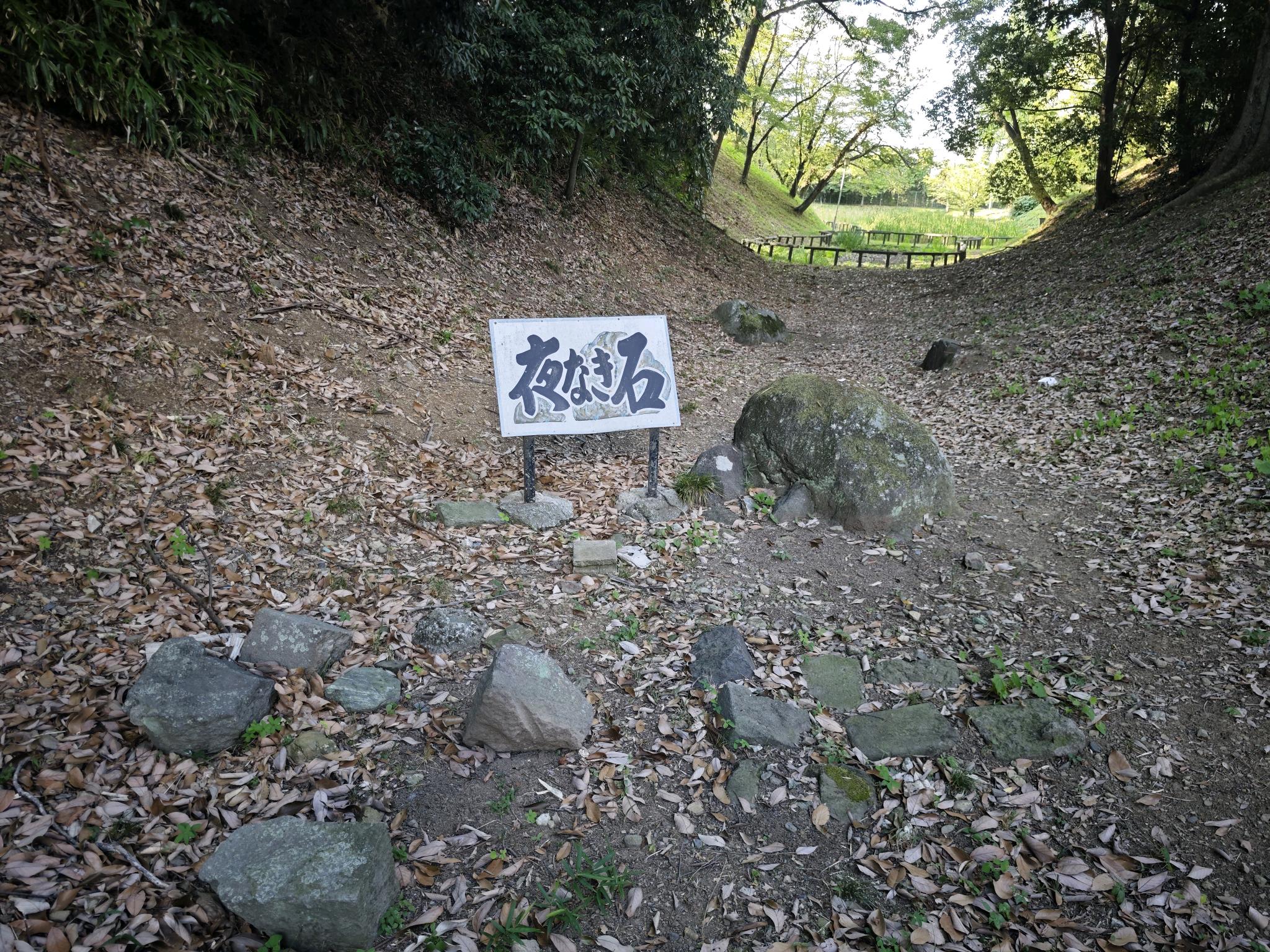 夜泣き石の写真