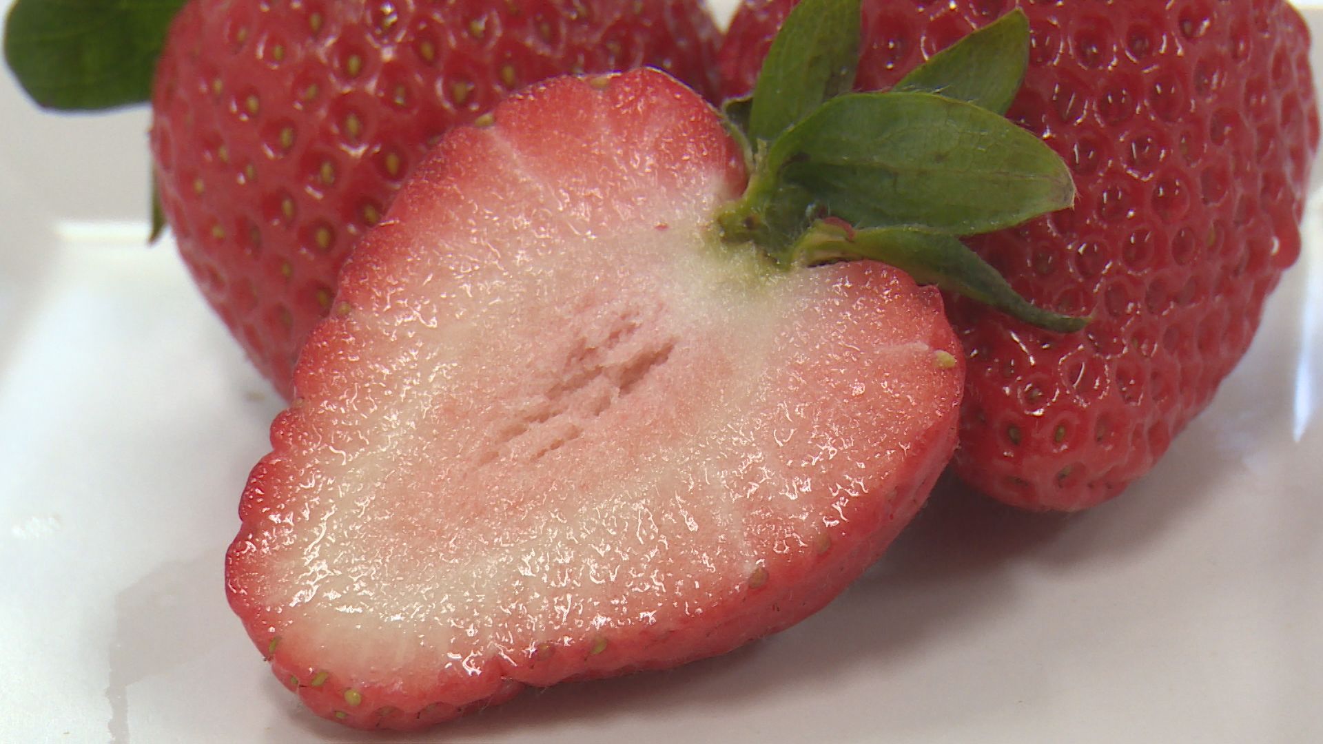 いちごの断面図