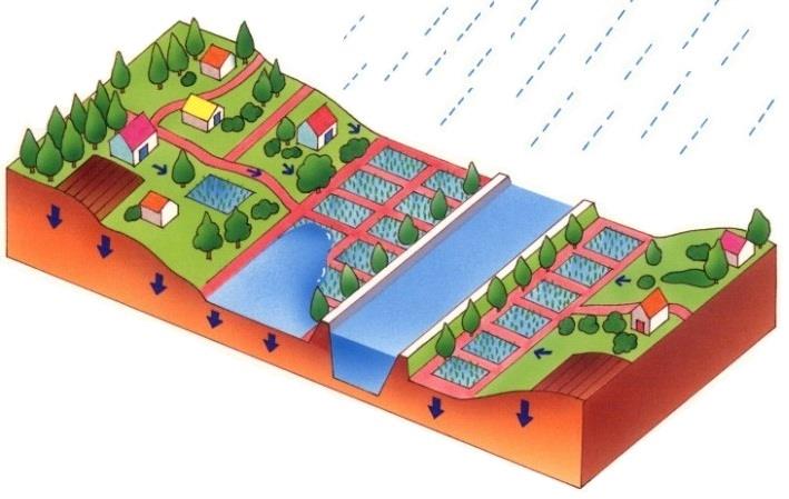 開発前の様子