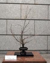 2月24日生け花の写真