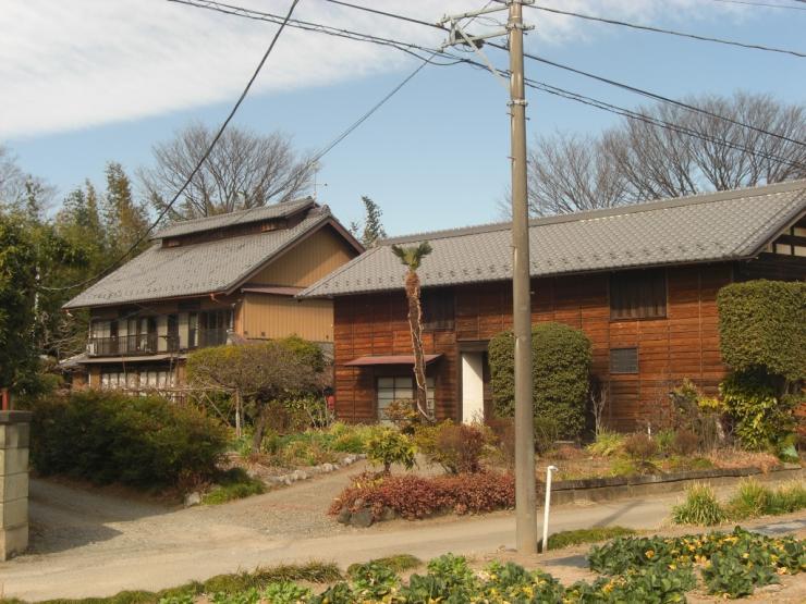 sugakinjo