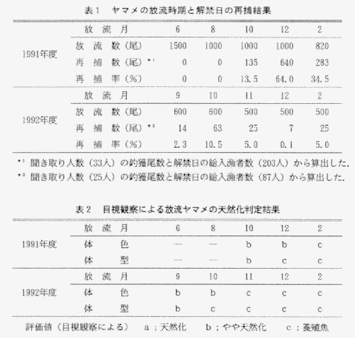 表1、ヤマメの放流時期と解禁日の再捕結果の表。表2、目視観察による放流ヤマメの天然化判定結果の表。