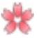 イメージ画像「サクラ」