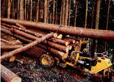 木材の生産の様子