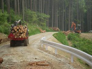 林業用車両が通ります