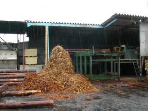 製材工場で発生した樹皮