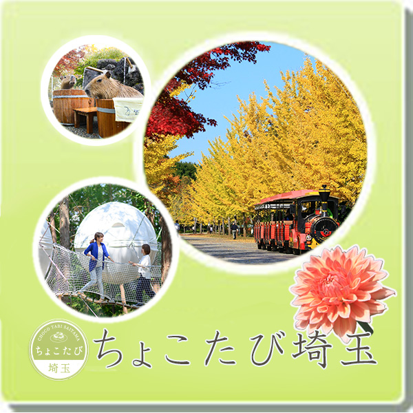 ちょこたび埼玉