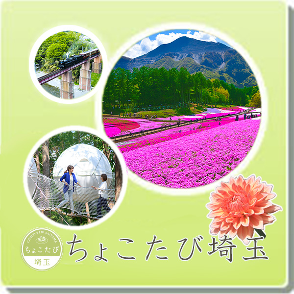 ちょこたび埼玉