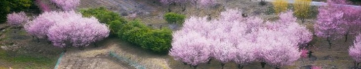 県議会トップ画像