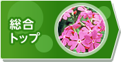 総合トップ